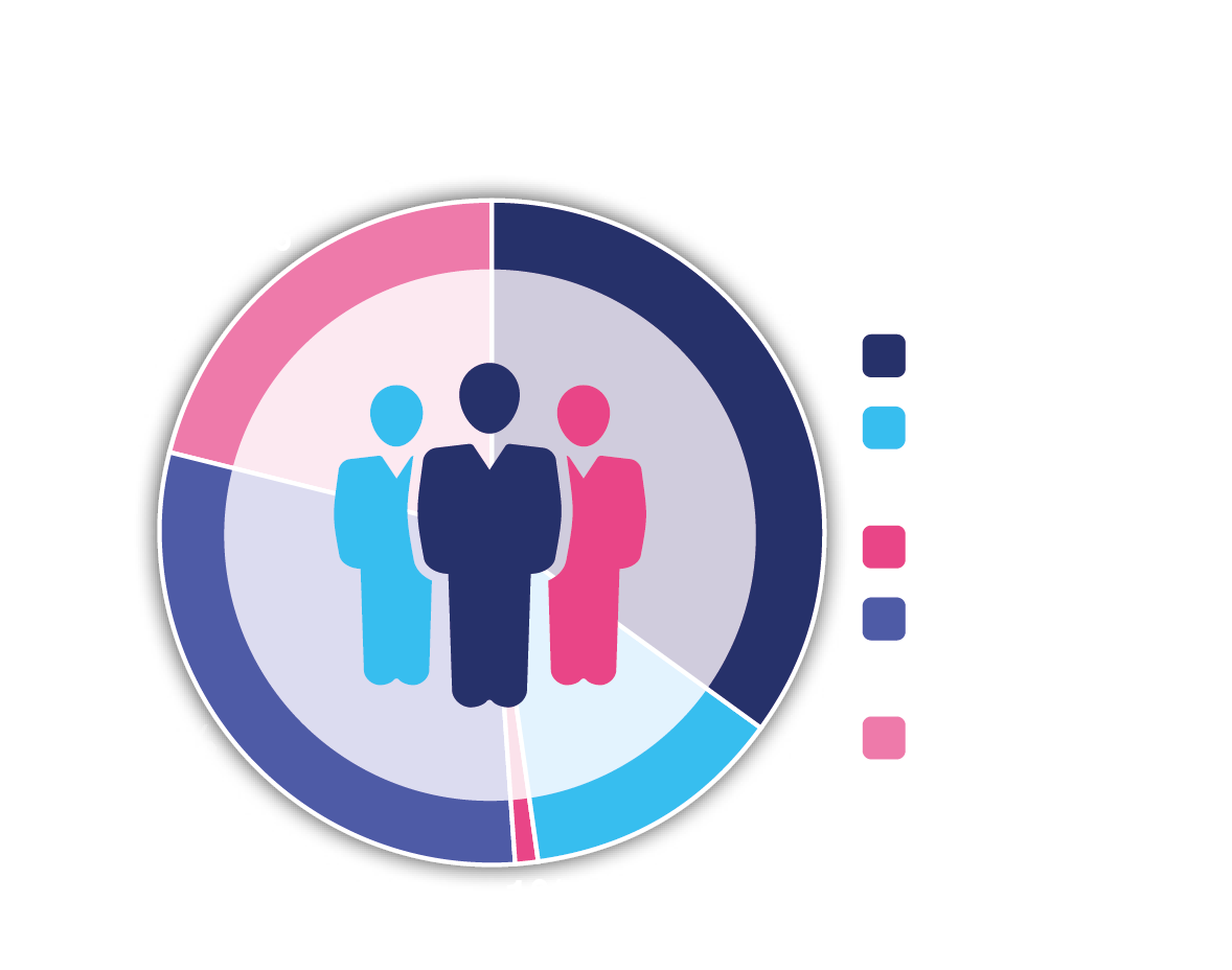 Company Type Graph